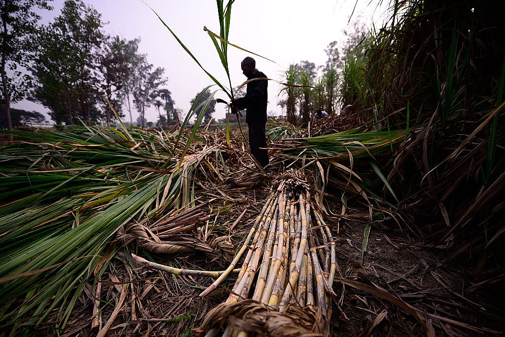 Photo by Pradeep Gaur/Mint via Getty Images