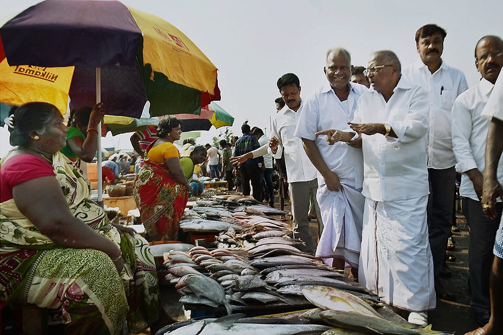 Deployment of observers in RK Nagar a new national record: EC