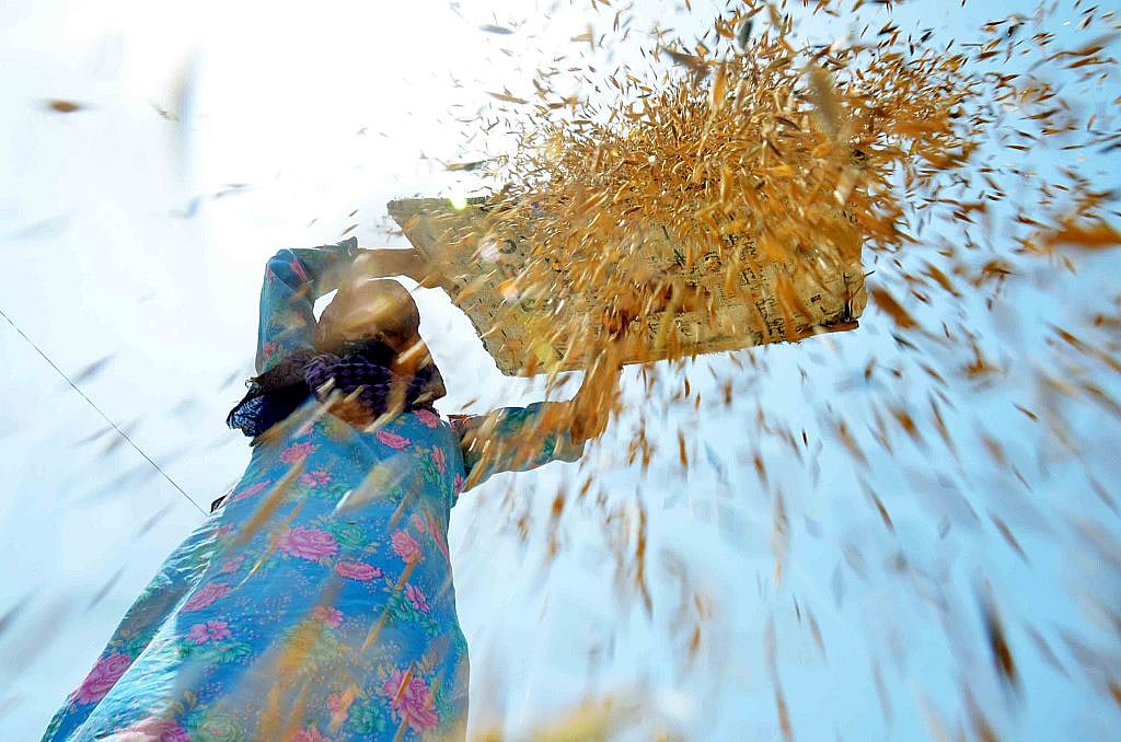 BJP teased for not honouring promise to farmers