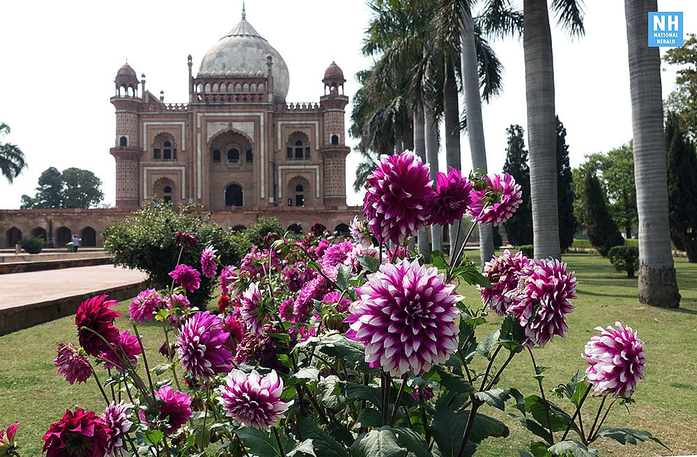 Images: Delhi decked in splendid colours of spring