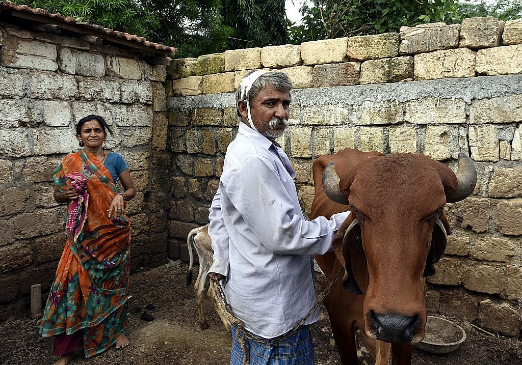 Ban ‘Gau Rakshaks’ deemed criminals by the PM, demands PIL