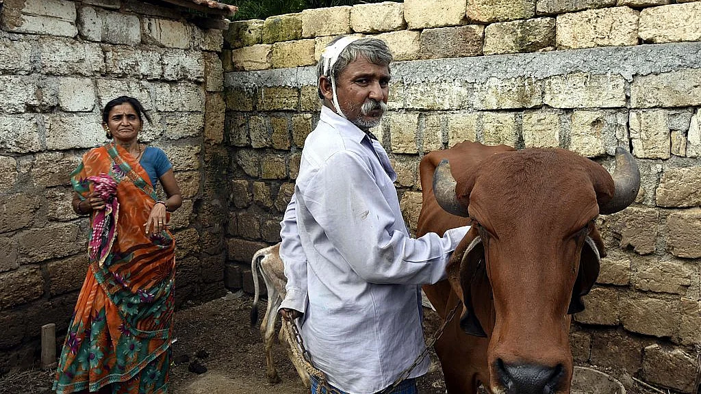 Photo by Arun Sharma/Hindustan Times via Getty Images