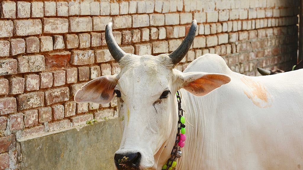 Photo by Ramesh Pathania/Mint via Getty Images