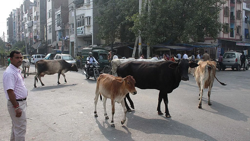  Photo by Sushil Kumar/Hindustan Times &nbsp;