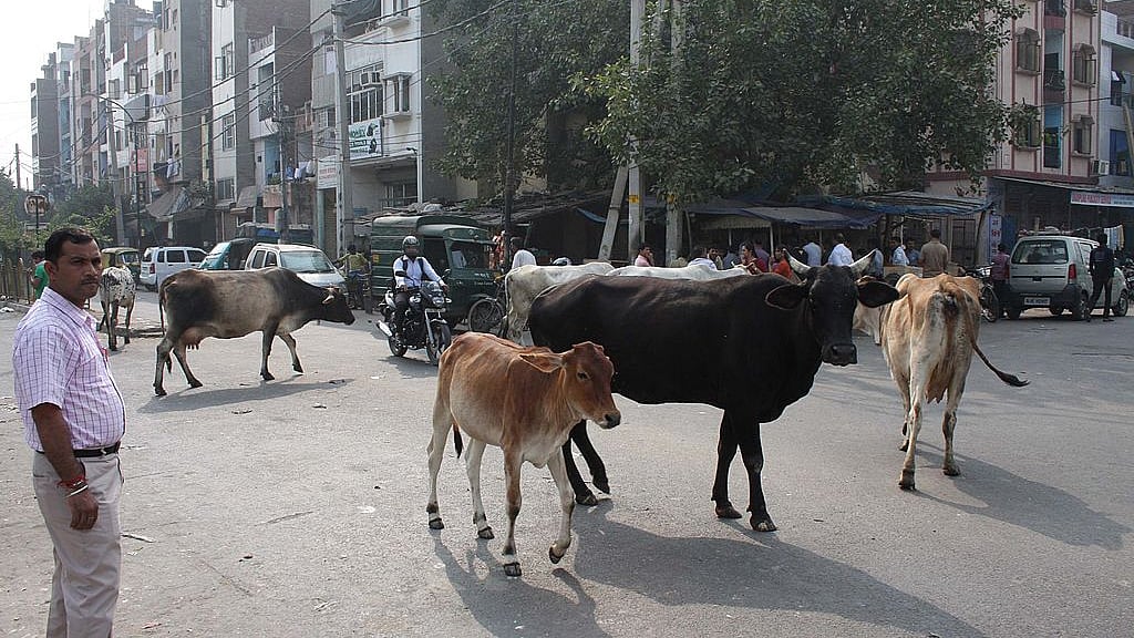 Photo by Sushil Kumar/Hindustan Times 