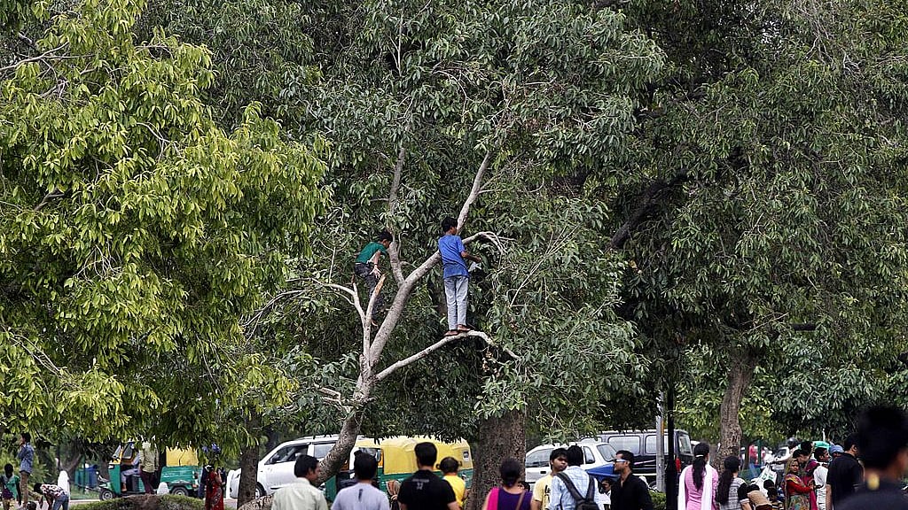 

Photo by Sanjeev Verma/Hindustan Times via Getty Images