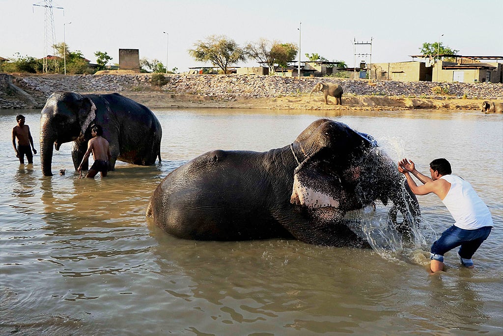 May 3: Away from Delhi, in pictures