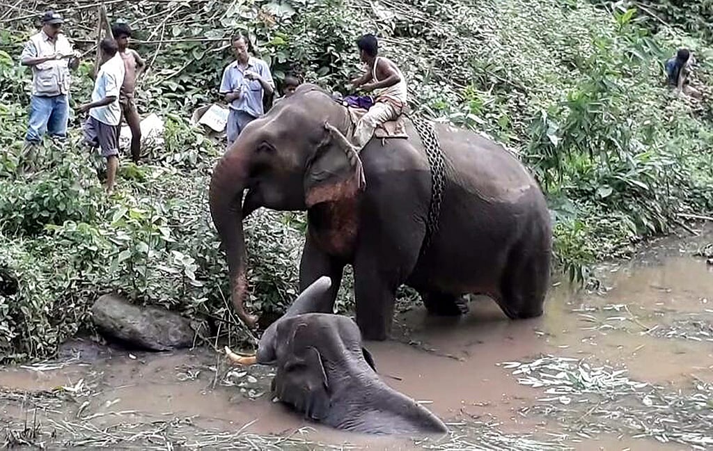 May 26: Away from Delhi, in
pictures