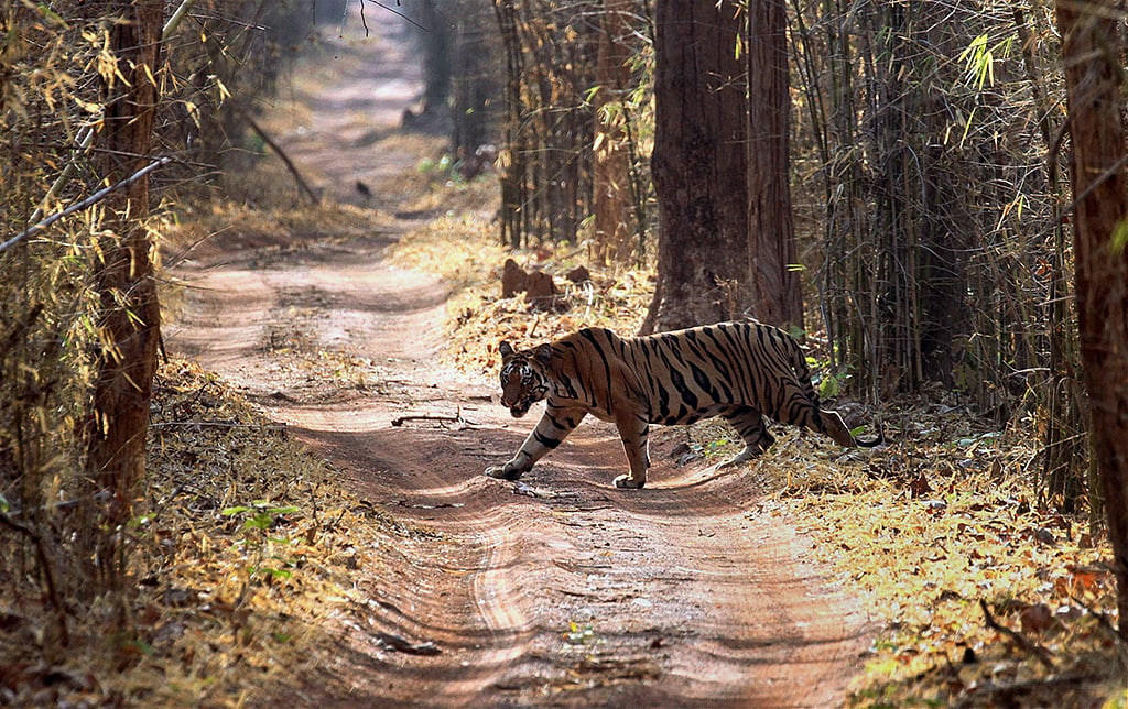 MAY 21: Away from Delhi, in
pictures