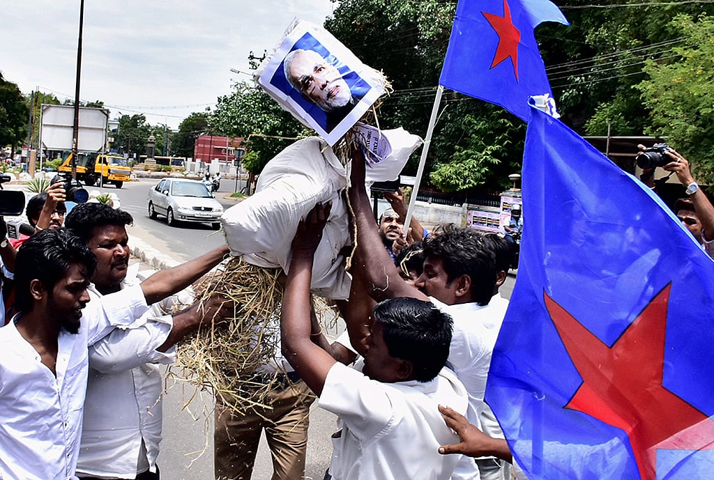 Madras HC suspends Centre’s cattle slaughter ban for four weeks