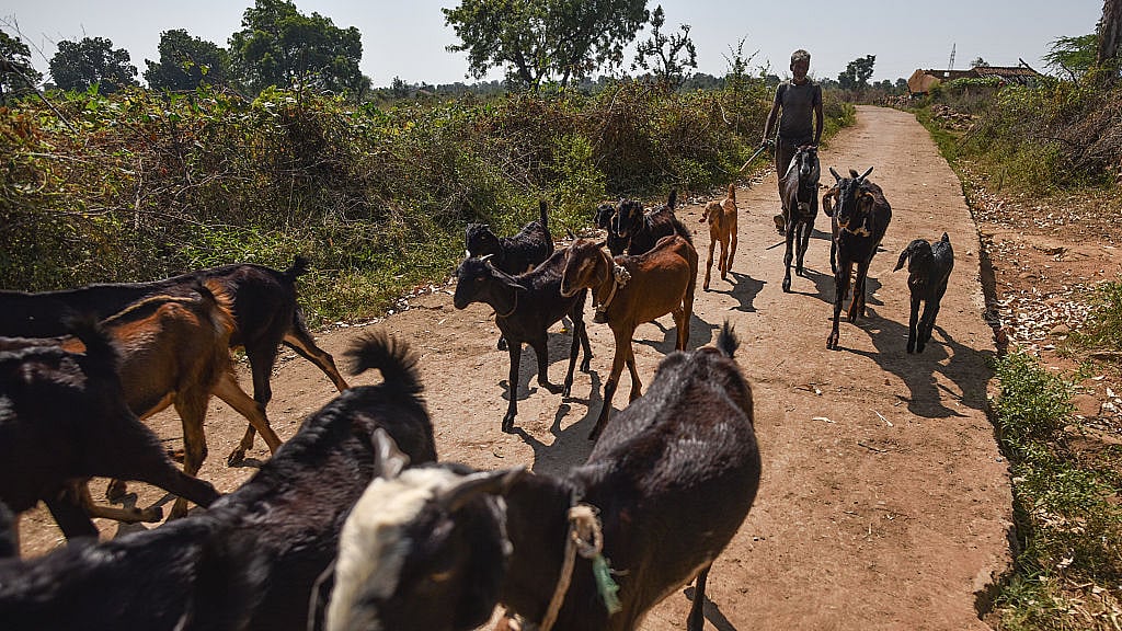 Photo by Pratik Chorge/Hindustan Times via Getty Images