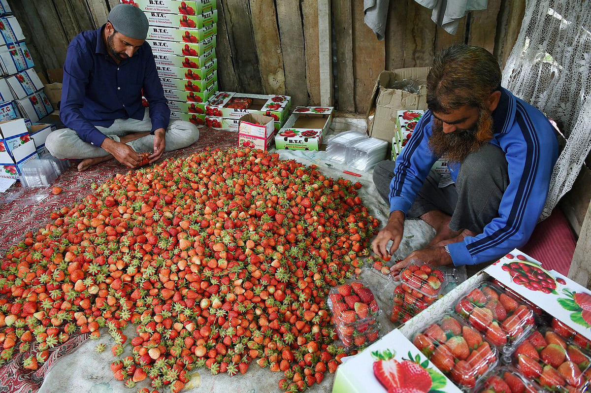 PTI Photo by S Irfan