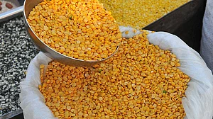 Pulses prices: Delay in Govt intervention fueled Farmers’ anger