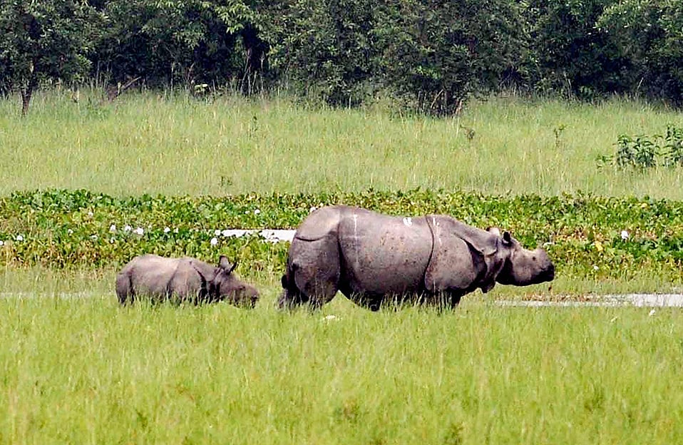 June 22: Away from Delhi, in
pictures