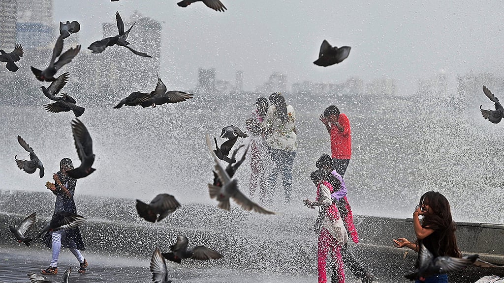 PTI Photo