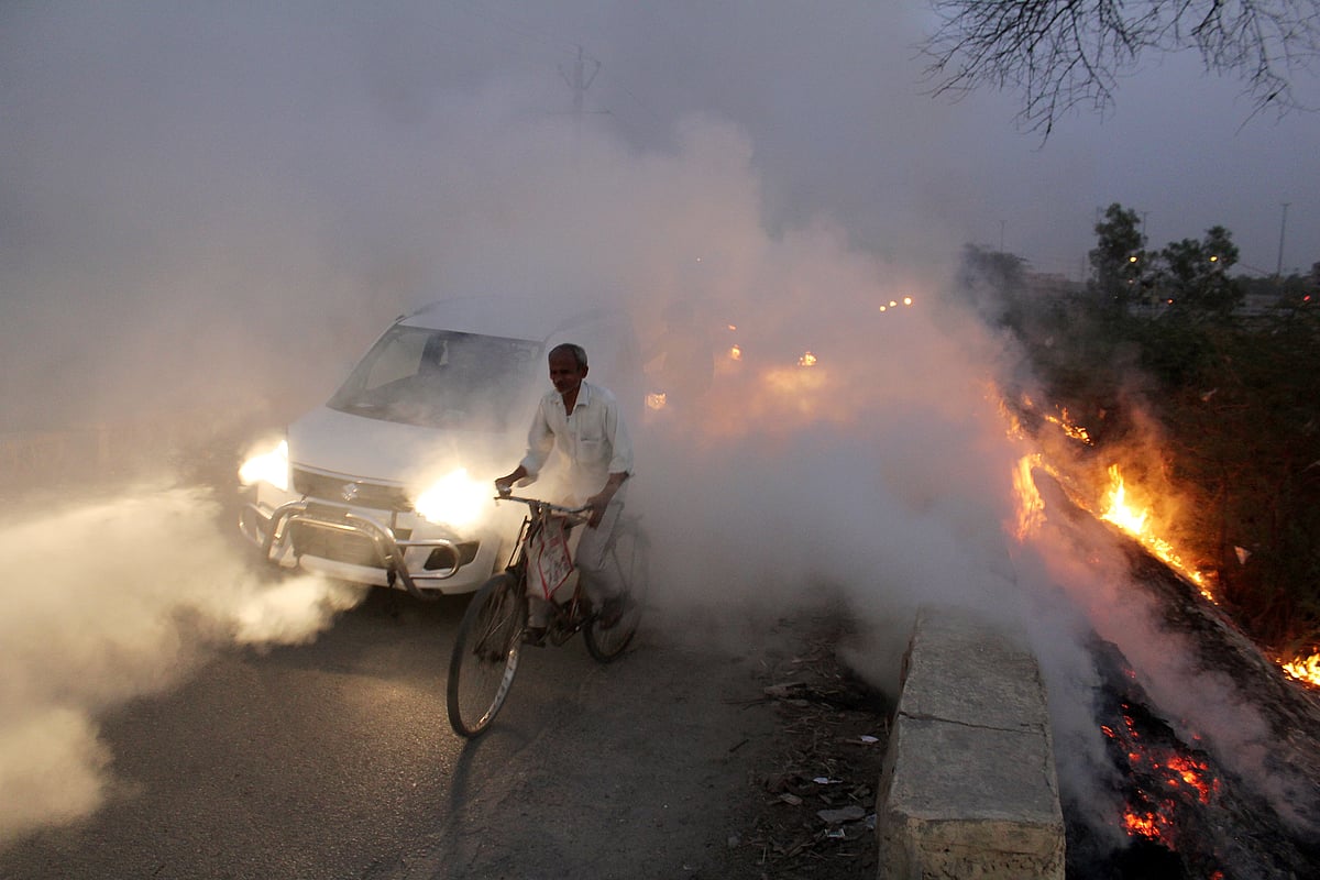 Environment Day: Some glimpses from Delhi 