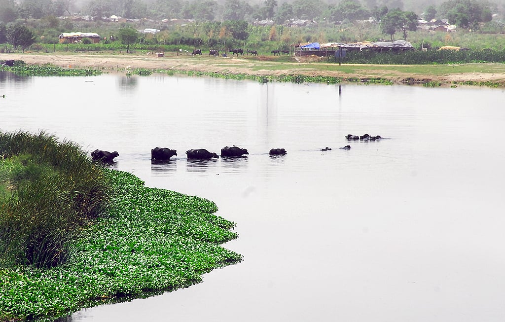 

NH Photo by Pramod Pushkarna