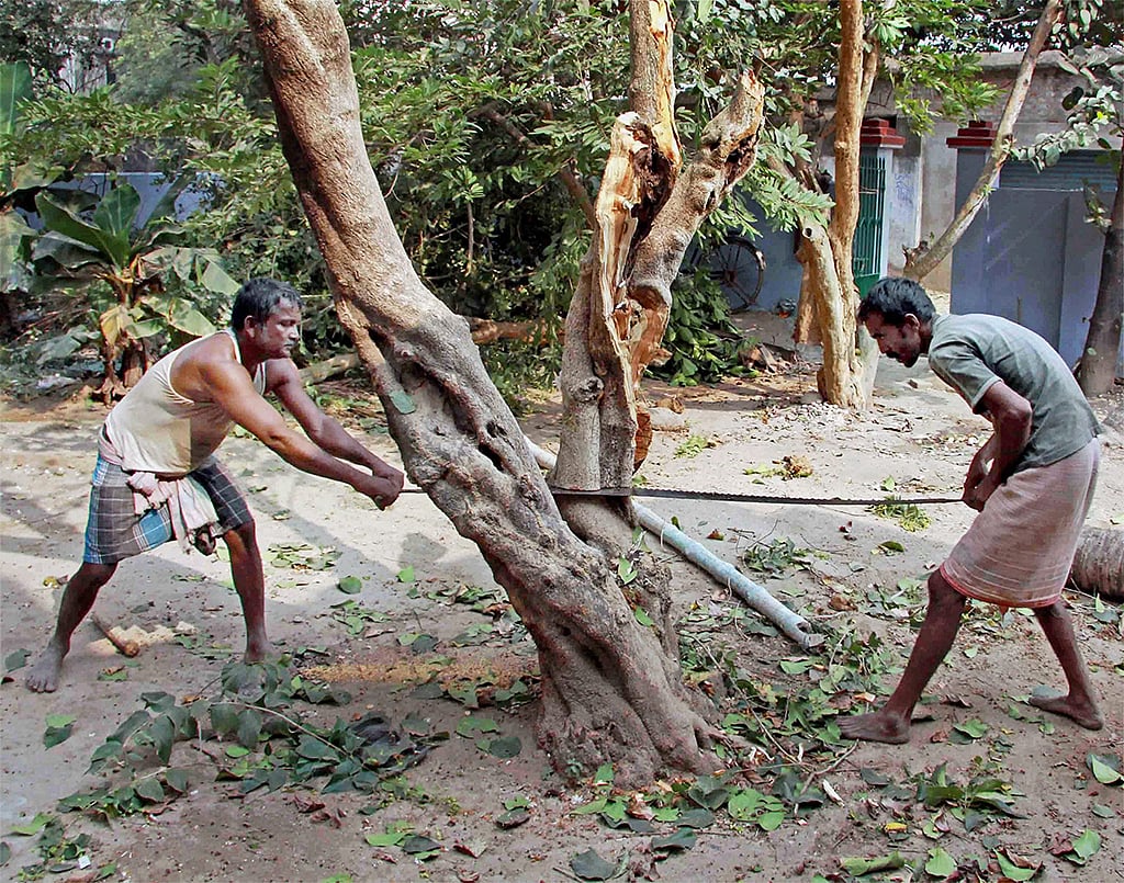June 5: Away from Delhi, in
pictures