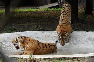 
















June 17: Away from Delhi, in pictures