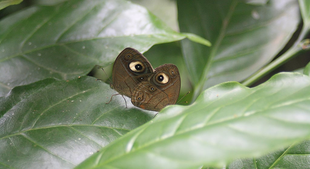 Photo by Medha Saxena