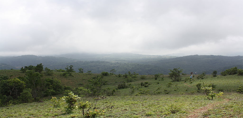 Photo by Medha Saxena