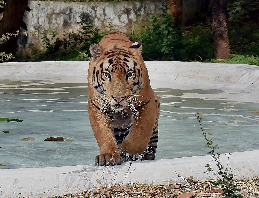 June 7: Away from Delhi, in
pictures
