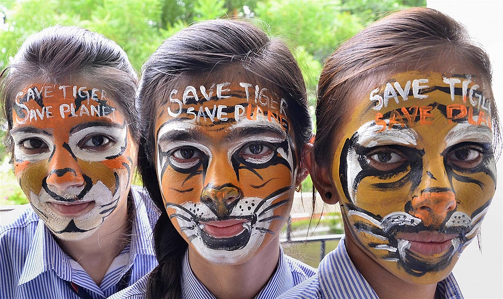 PTI Photo