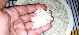 Social media posts fuel ‘plastic food’ fears among consumers