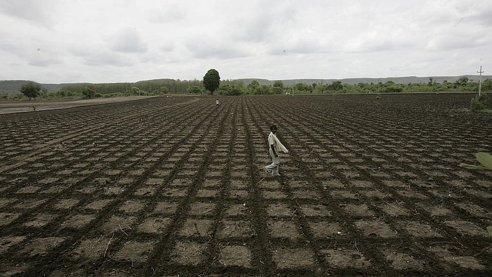 

Photo by Rajanish Kakade/Hindustan Times via Getty Images