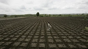 Climate change linked to 59,000 suicides in India over last 30 years