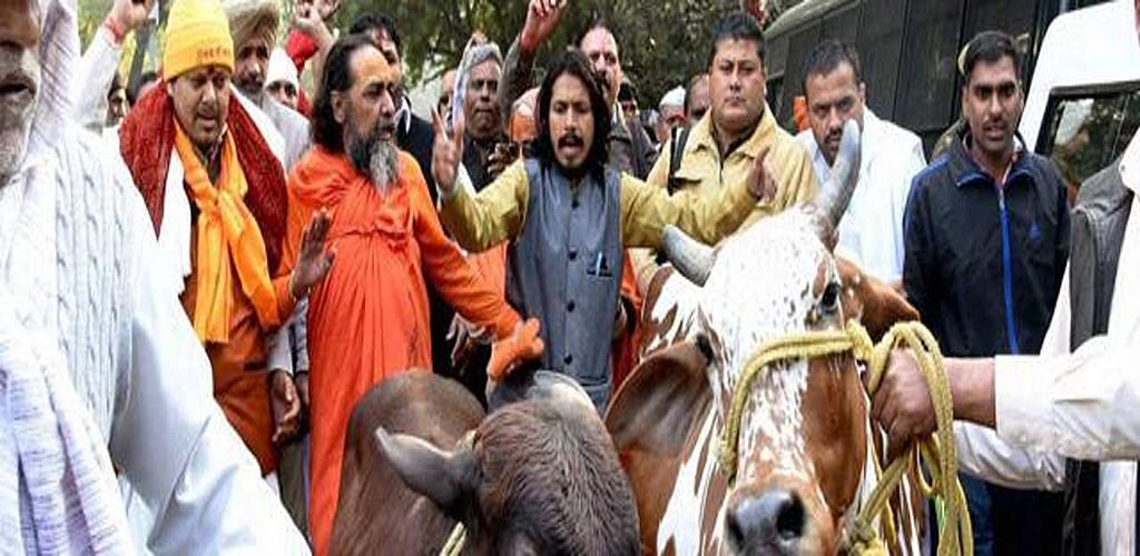 Lynchings and violence in the name of cow must end: SC