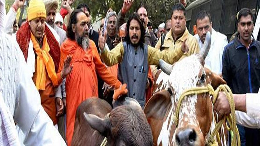 PTI Photo