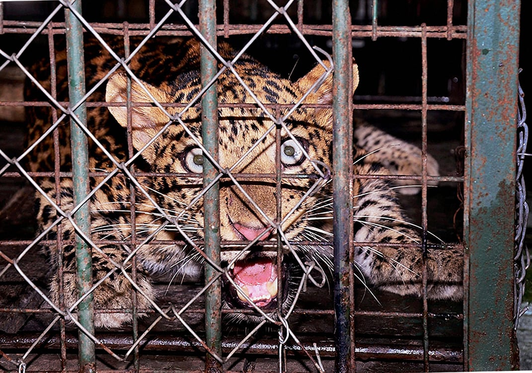 
















September 13: Delhi and beyond, in pictures