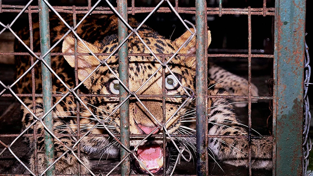 

PTI Photo