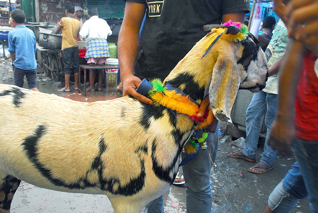 

NH Photo Pramod Pushkarna