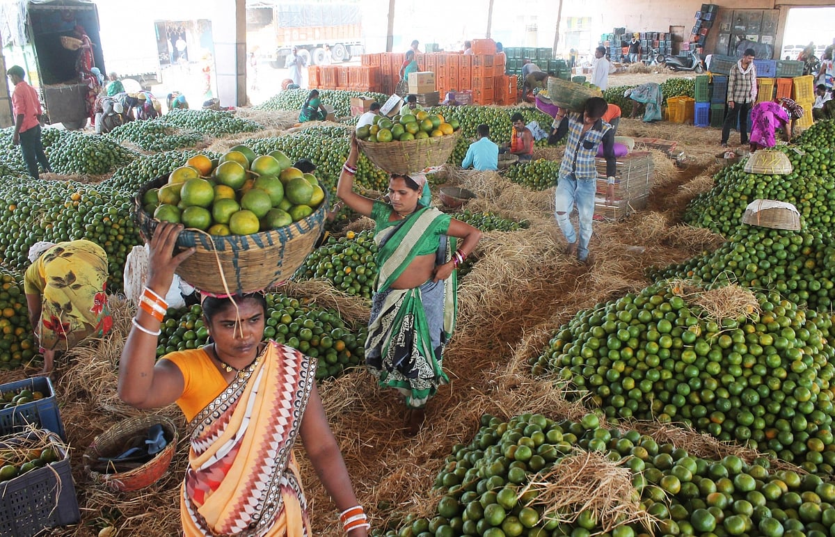 October 30: Delhi and beyond, in pictures