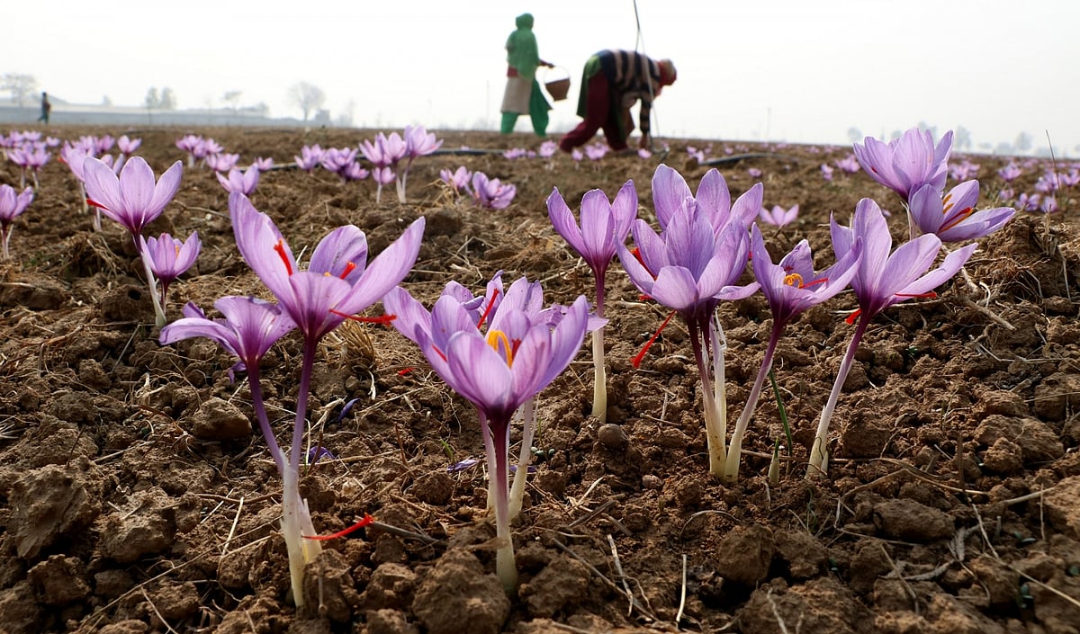 November 6: Delhi and beyond, in pictures