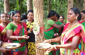 Jamuna Tudu’s fight against the forest mafia