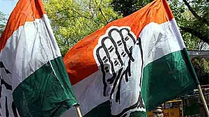 Congress sweeps Punjab municipal polls; wins 267 wards
