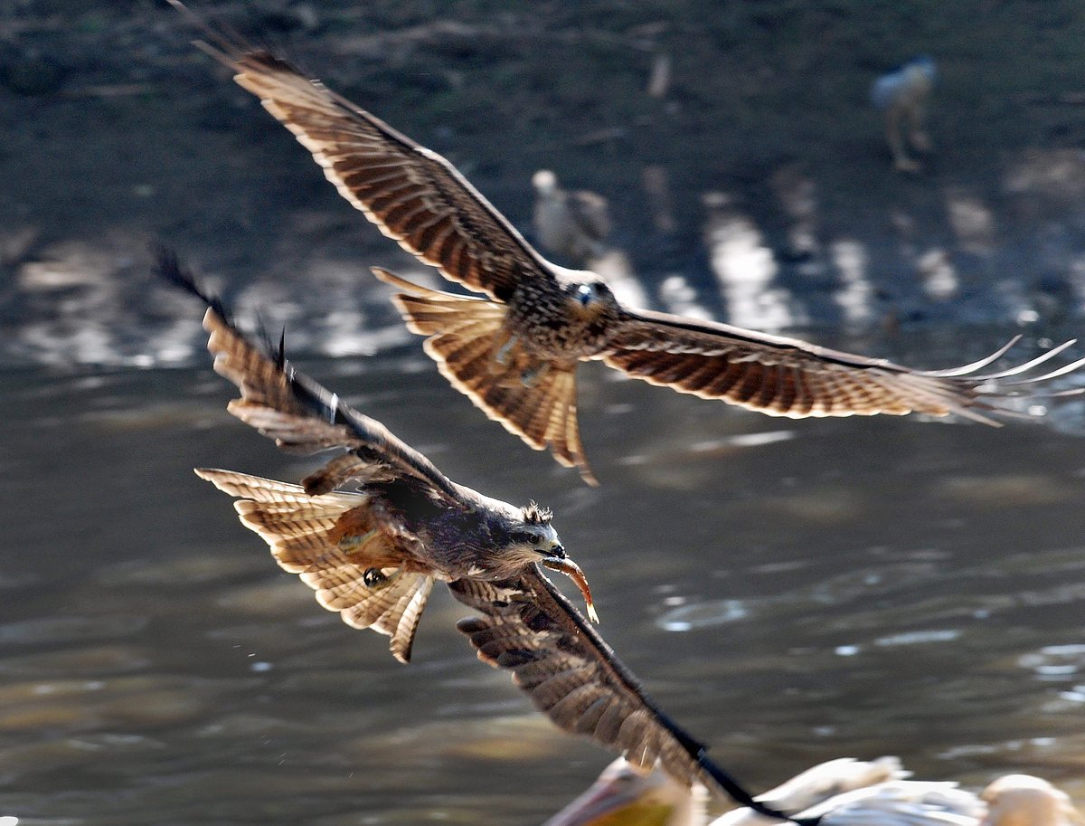 December 26: Delhi and beyond, in pictures