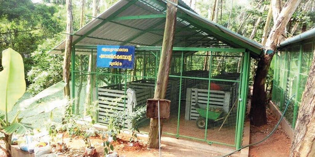 Kerala’s Alappuzha among 5 cities managing waste efficiently