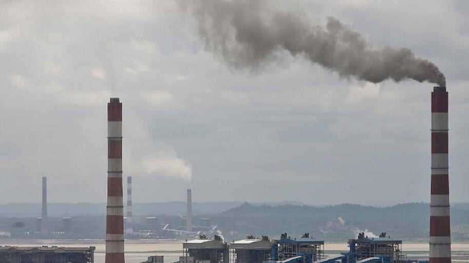 Picture courtesy: Greenpeace