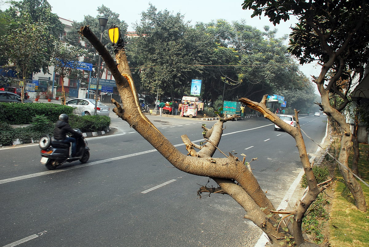 Pramod Pushkarna