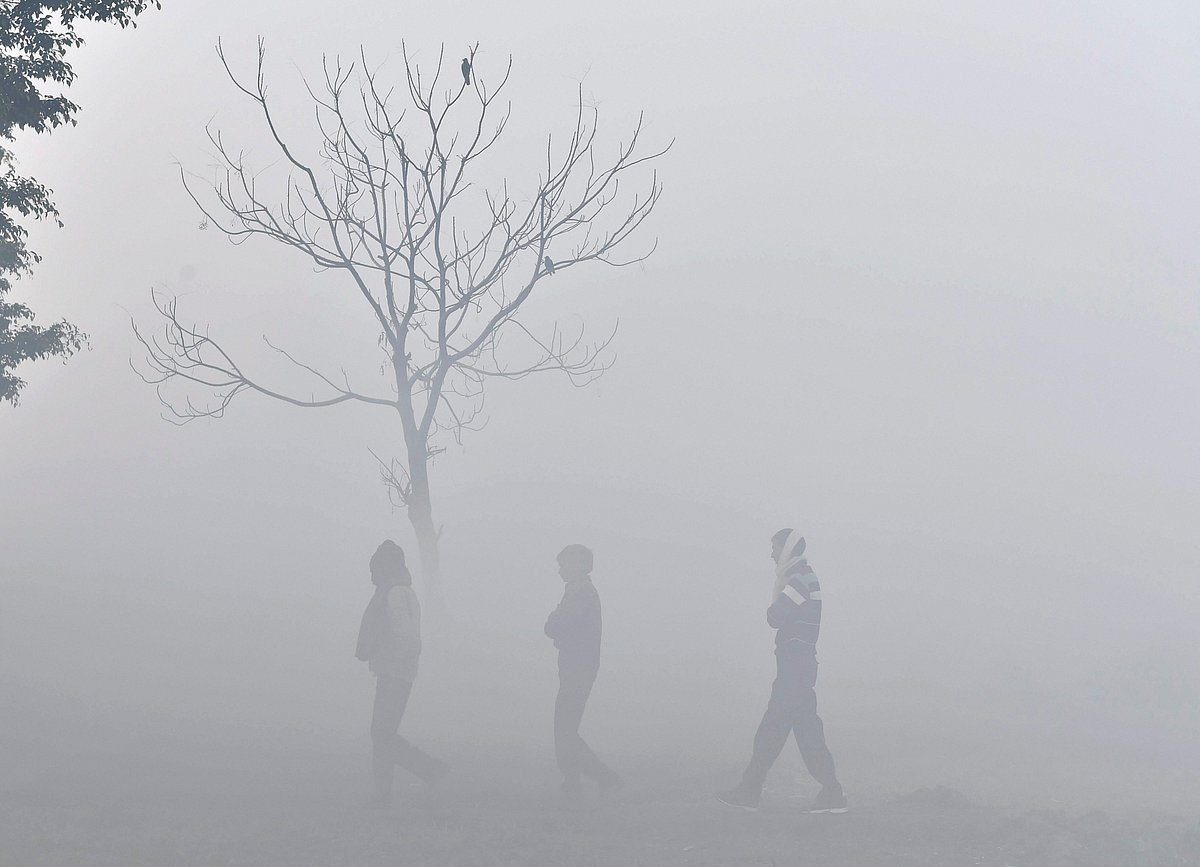 January 06: Delhi and beyond, in pictures