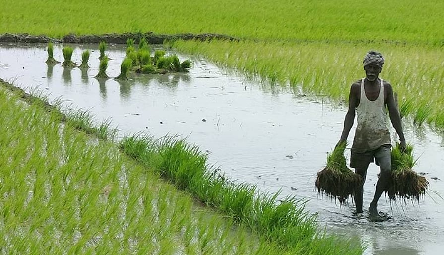 P Sainath: we, as a nation, have to stand up and help build the nation for farmers