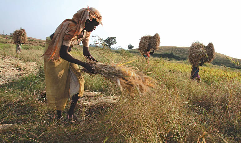Should Bharat feed India at the world’s cheapest prices? 