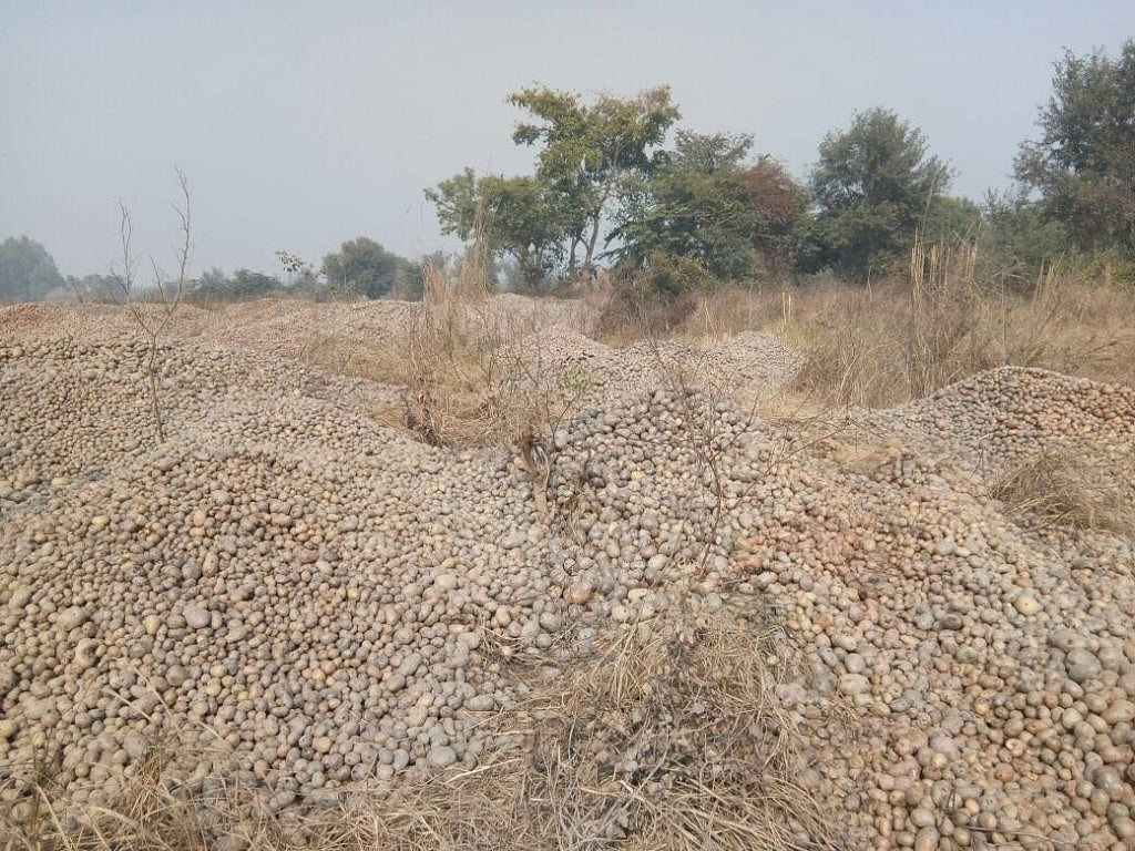 Congress exposes Yogi Adityanath government’s lies on potato crisis