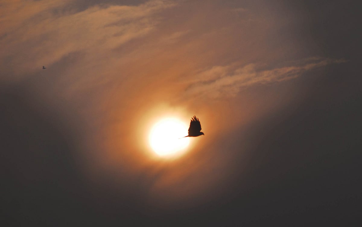 January 02: Delhi and beyond, in pictures