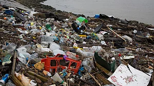 Of 1.1 million pollution-related deaths, 75% happened in rural India, says Massachusetts study