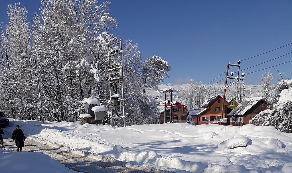 Snowfall brings cheers to people in Kashmir Valley
